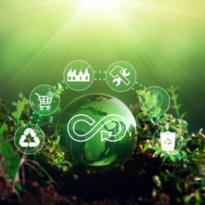 La economía circular en el sector del plástico: Repensando la sostenibilidad y la innovación.