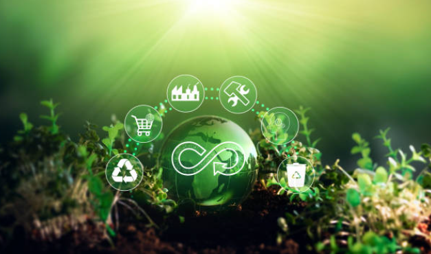 La economía circular en el sector del plástico: Repensando la sostenibilidad y la innovación.