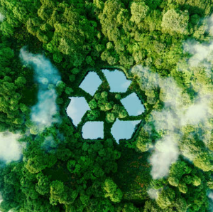 La importancia del ecodiseño para la economía circular
