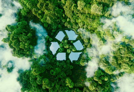 La importancia del ecodiseño para la economía circular